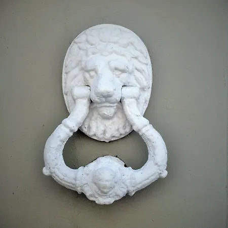 Slow بونتيفيذرا